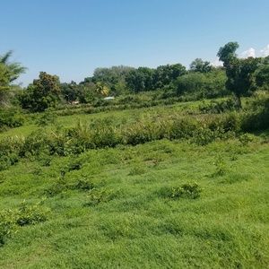 Meet your Posher, Nathalie